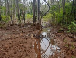 LAPAK Ancam Aksi Massa, Desak PT Tekonindo Bertanggung Jawab atas Kerusakan Lahan