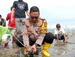 HUT Kolaka Utara, Kapolres dan Forkopimda Hijaukan Pesisir Pantai