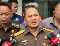 Lahan Sawit Ilegal Ditertibkan, Lahan Tambang Masih Menunggu Giliran