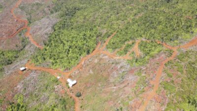 Ilegal Logging Diduga Marak di Hutan Lindung Kolaka Utara, 0,5 Hektare Sudah Terbabat