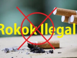 Bea Cukai Didesak Sikat Rokok Ilegal di Kendari, Kerugian Negara Kian Membengkak