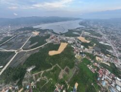 Benarkah Lahan Anduonohu Bisa Dibangun? Mengurai Status APL dan Aturan Mangrove