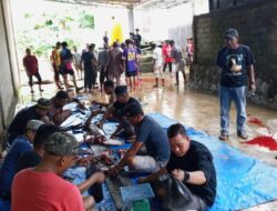 PT WIN Salurkan 13 Ekor Sapi Kurban untuk Warga Dua Kecamatan di Konawe Selatan