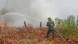 Kebakaran Lahan di Nanga-Nanga Kendari Berhasil Dipadamkan Petugas Gabungan