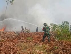 Kebakaran Lahan di Nanga-Nanga Kendari Berhasil Dipadamkan Petugas Gabungan